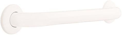 Delta Bathroom Safety Grab Bar
