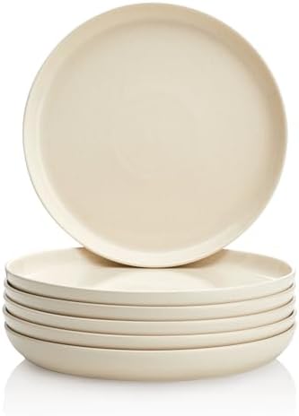 Sweese 10-inch Porcelain Dinner Plates Set of 6