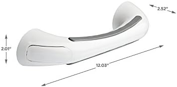 Delta 300 lbs Bath Safety Bar
