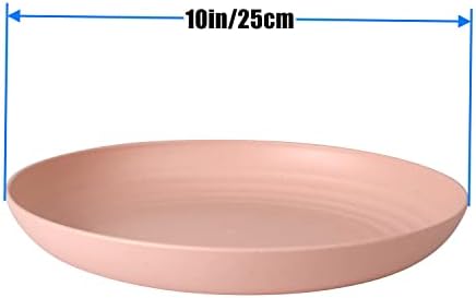 CAMBUY Lightweight Unbreakable Dinner Plates Set for Home Events