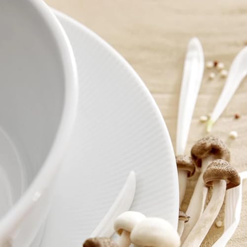 Pillivuyt Eventail Coupe Salad Plate Set 85 White porcelain