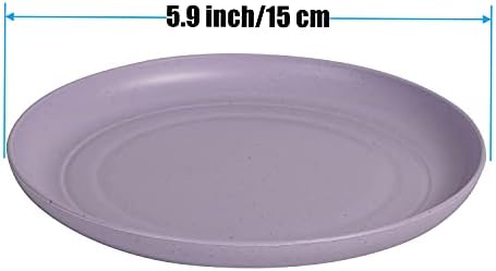 CAMBUY Lightweight Unbreakable Dinner Plates Set 6-Piece