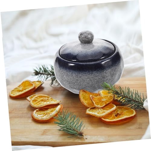 STOBAZA Japanese Ceramic Stew Bowl with Lid