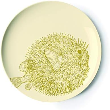 Thomas Paul Melamine Salad Plate Set - Multi-Color