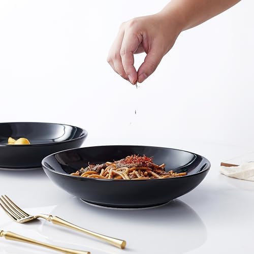 9-inch Blue and White Ceramic Pasta Bowls Set Microwave and Oven Safe
