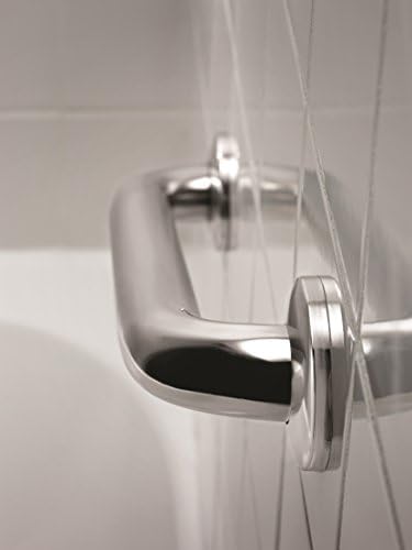 Delta 18 Inch Concealed Screw Bath Safety Grab Bar Stainless Steel