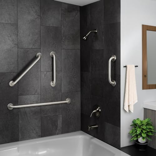 Homewerks 24 Inch ADA Compliant Grab Bar