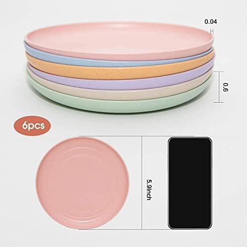 6-Pack Lightweight Wheat Straw Plates