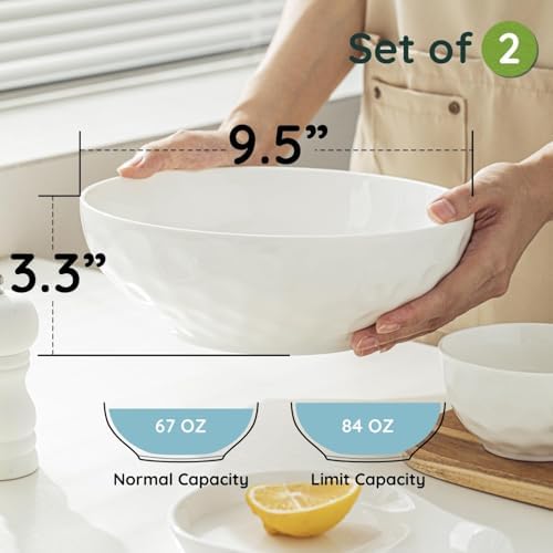 95-Inch Pasta Bowls Set of 2