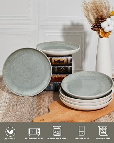 Pokini Ceramic Salad Plates