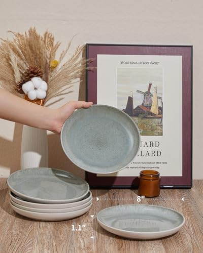 Pokini Ceramic Salad Plates
