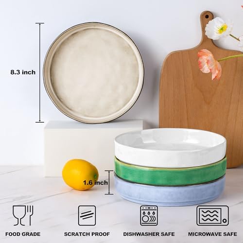 E-Far Premium Pasta Bowls Set of 4 30oz Stoneware with Reactive Glaze