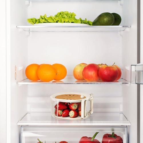 Collapsible Drainer Basket for Fruits Vegetables