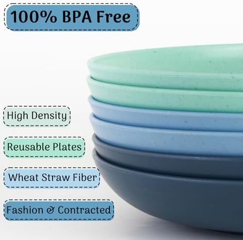 Best Child-Friendly Dinner Plate Set with Eco-Friendly Wheat Straw PP Design