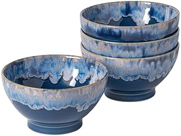 Costa Nova Elegantly designed microwave dishwasher safe latte bowls set of 4