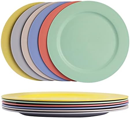 10inch6pcs GreenAndLife Reusable Dinner Plates