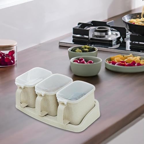 Convenient Kitchen Organization Track Smarts by ZPLuz - Seasoning Box with curves handle