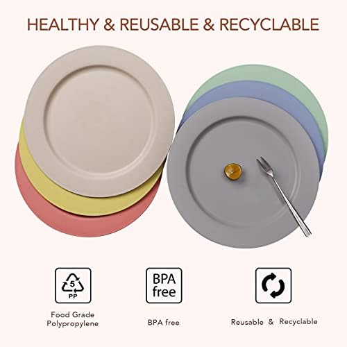 10inch6pcs GreenAndLife Reusable Dinner Plates