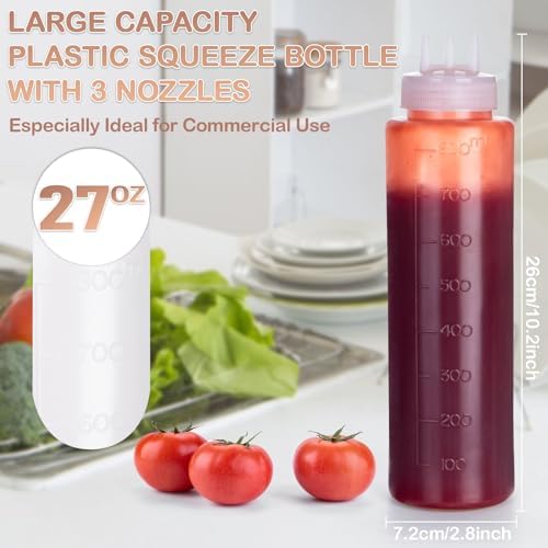Premium Condiment Squeeze Bottles