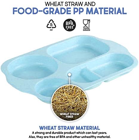 ShopWithGreen Divided Plates