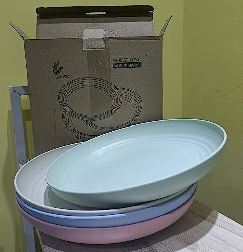 CAMBUY Lightweight Unbreakable Dinner Plates Set for Home Events