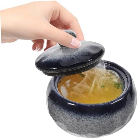 STOBAZA Japanese Ceramic Stew Bowl with Lid