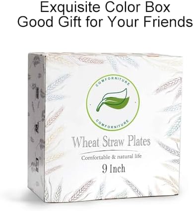 Best Child-Friendly Dinner Plate Set with Eco-Friendly Wheat Straw PP Design