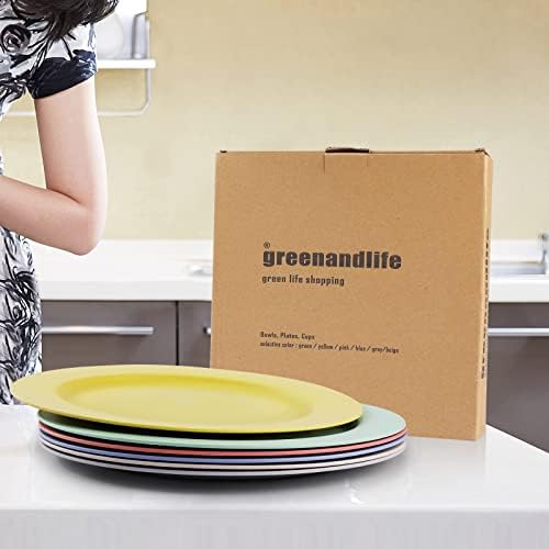 10inch6pcs GreenAndLife Reusable Dinner Plates