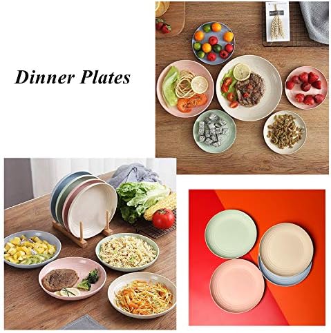 CAMBUY Lightweight Unbreakable Dinner Plates Set for Home Events
