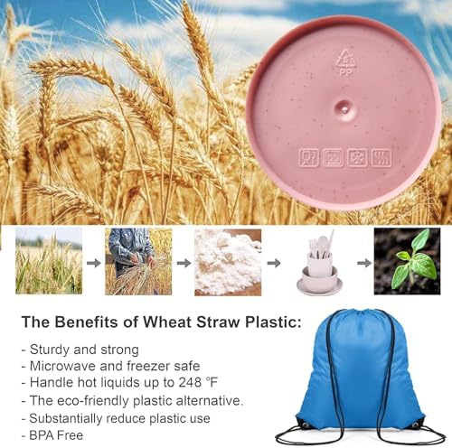 Perfect for Kids Adults Lightweight Durable BPA-Free Eco-Friendly Dinnerware Set