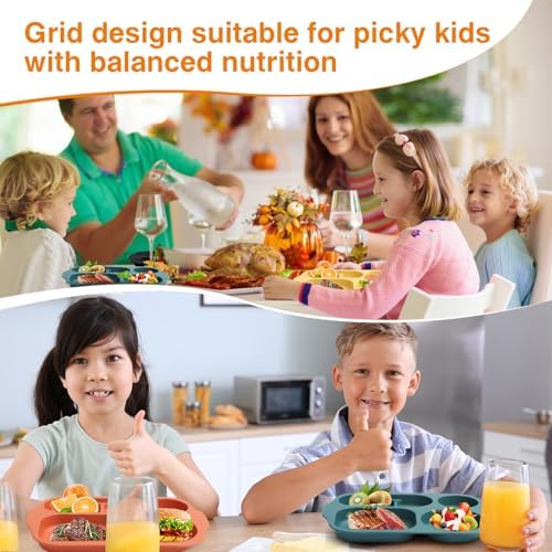 8-Piece Divided Plates Set for Kids Adults and Entertaining Use