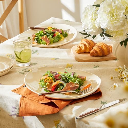 Curved Design Set of 6 Dinner Plates - dishwasher microwave oven safe