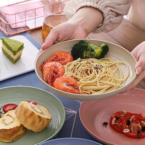 9-inch Reusable Wheat Straw Plates