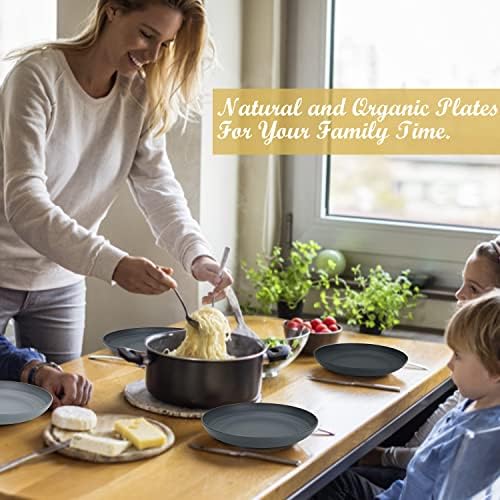 Durable and Reusable Dinner Plates for Kitchen and Camping