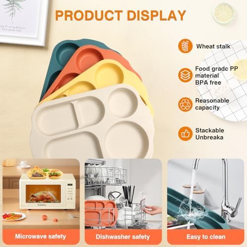 8-Piece Divided Plates Set for Kids Adults and Entertaining Use