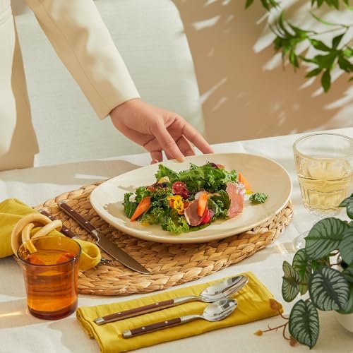 Curved Design Set of 6 Dinner Plates - dishwasher microwave oven safe