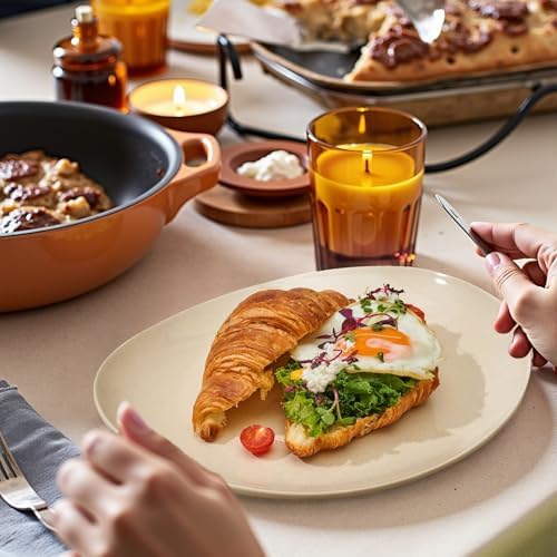 Curved Design Set of 6 Dinner Plates - dishwasher microwave oven safe