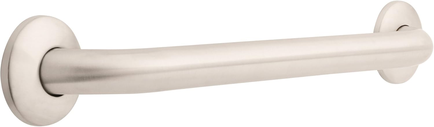 Delta 18 Inch Concealed Screw Bath Safety Grab Bar Stainless Steel
