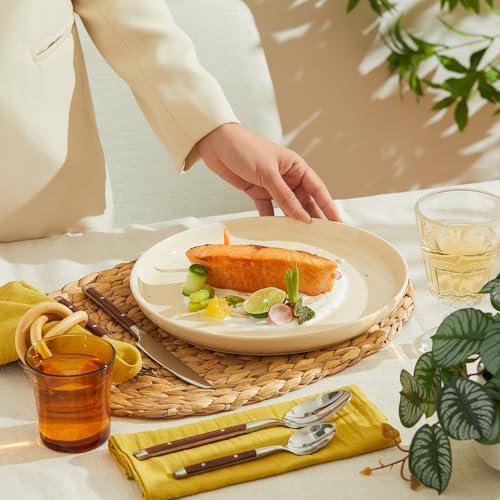Sweese 10-inch Porcelain Dinner Plates Set of 6