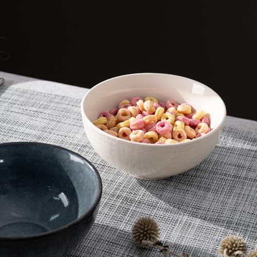 Famiware Moonlight Cereal Bowls Set 20oz Rice Bowls
