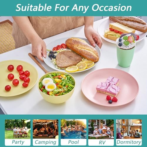 PYRMONT Reusable Plastic Dinnerware Sets for 6 BPA-Free Microwave Safe