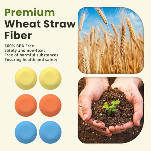 Homienly 9-inch Wheat Straw Dinner Plates Set of 6