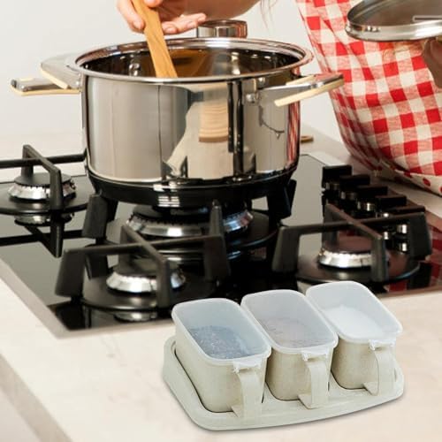 Convenient Kitchen Organization Track Smarts by ZPLuz - Seasoning Box with curves handle