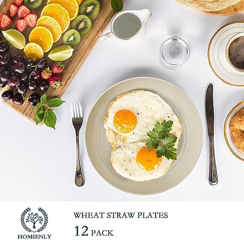 Homienly Deep Dinner Plates Set of 12 Alternative to Plastic Plates