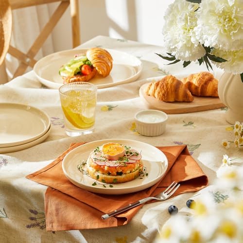 Sweese 10-inch Porcelain Dinner Plates Set of 6