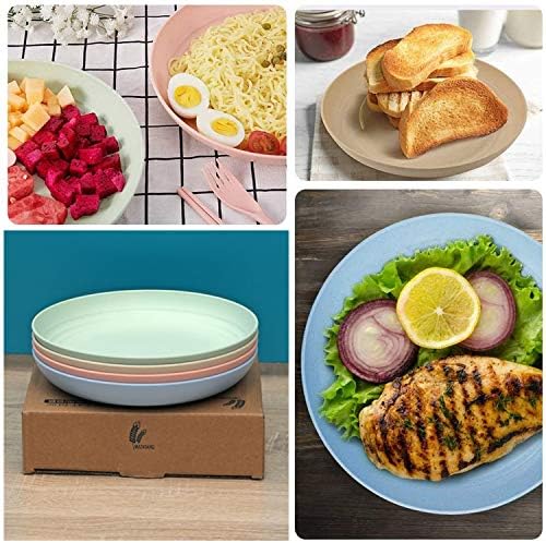 CAMBUY Lightweight Unbreakable Dinner Plates Set for Home Events