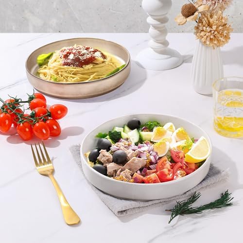E-Far Premium Pasta Bowls Set of 4 30oz Stoneware with Reactive Glaze