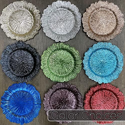 Sturdy 13-Inch Dinner Plates