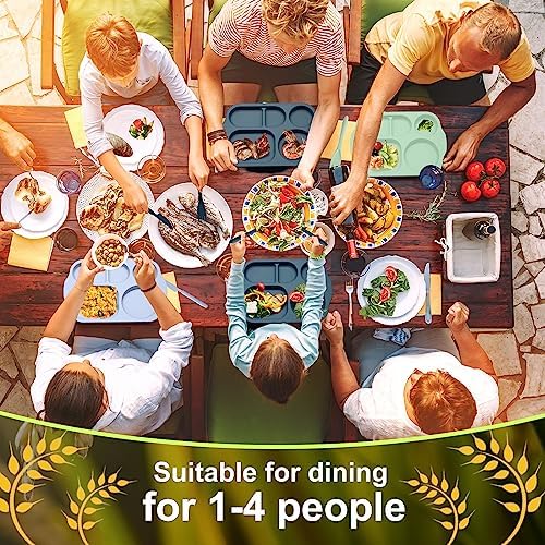 Tanlade 24-Piece Divided Dinnerware Set for Kids Adults
